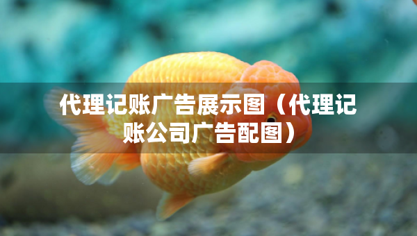 代理記賬廣告展示圖（代理記賬公司廣告配圖）
