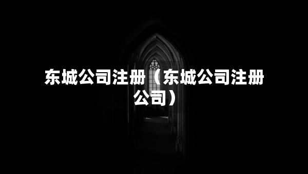 東城公司注冊（東城公司注冊公司）
