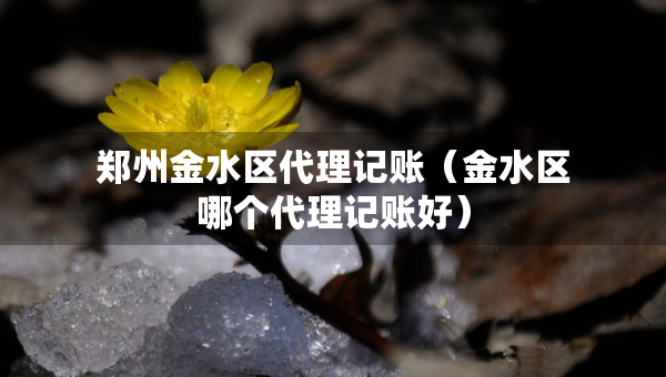 鄭州金水區(qū)代理記賬（金水區(qū)哪個代理記賬好）