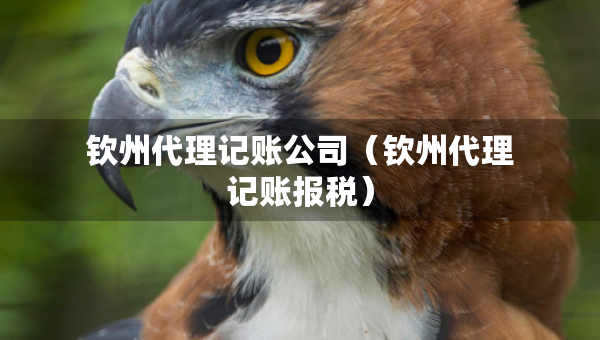欽州代理記賬公司（欽州代理記賬報稅）