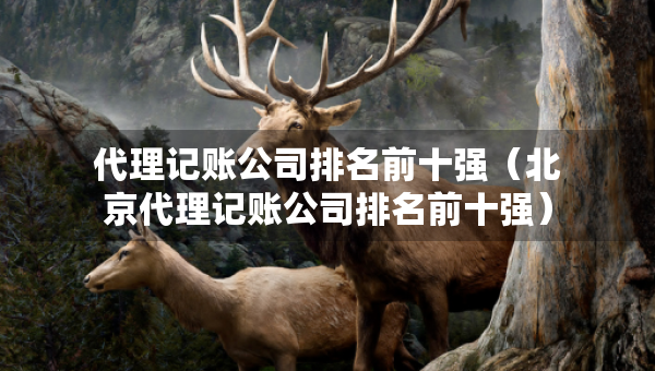 代理記賬公司排名前十強（北京代理記賬公司排名前十強）