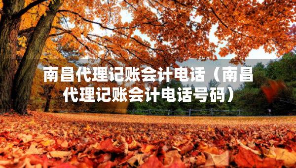 南昌代理記賬會計電話（南昌代理記賬會計電話號碼）