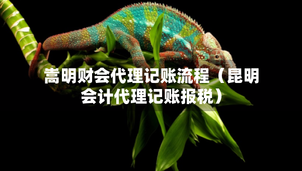 嵩明財(cái)會(huì)代理記賬流程（昆明會(huì)計(jì)代理記賬報(bào)稅）
