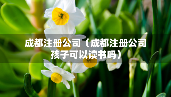 成都注冊公司（成都注冊公司孩子可以讀書嗎）