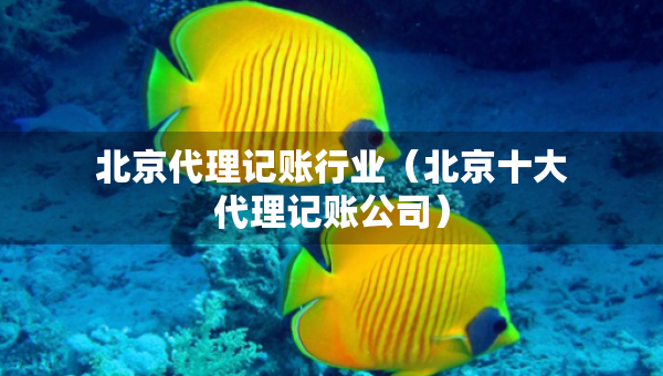 北京代理記賬行業(yè)（北京十大代理記賬公司）