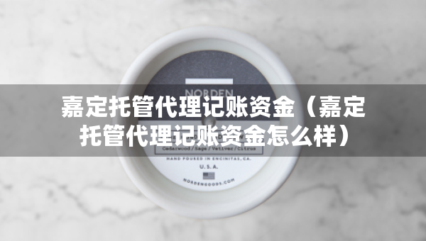 嘉定托管代理記賬資金（嘉定托管代理記賬資金怎么樣）