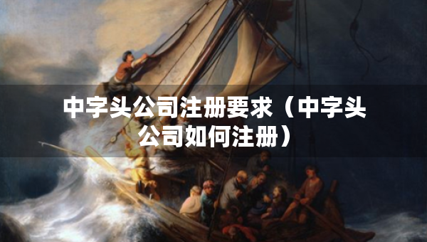 中字頭公司注冊要求（中字頭公司如何注冊）