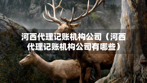 河西代理記賬機(jī)構(gòu)公司（河西代理記賬機(jī)構(gòu)公司有哪些）