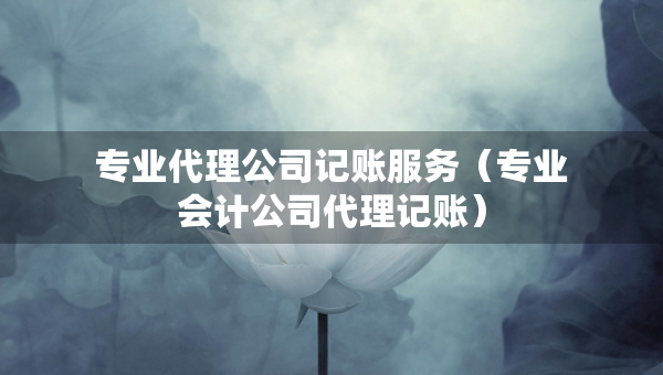 專(zhuān)業(yè)代理公司記賬服務(wù)（專(zhuān)業(yè)會(huì)計(jì)公司代理記賬）