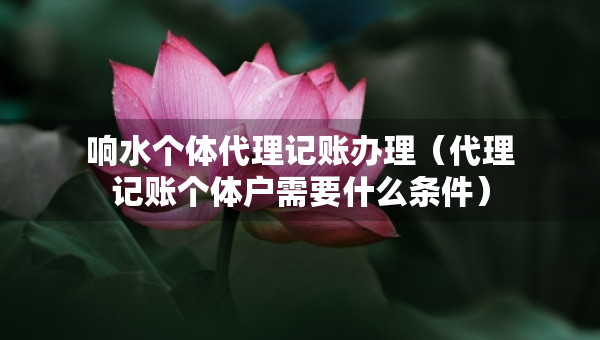 響水個(gè)體代理記賬辦理（代理記賬個(gè)體戶(hù)需要什么條件）