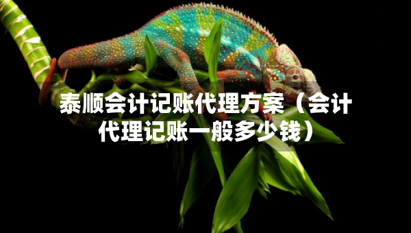 泰順會(huì)計(jì)記賬代理方案（會(huì)計(jì)代理記賬一般多少錢）