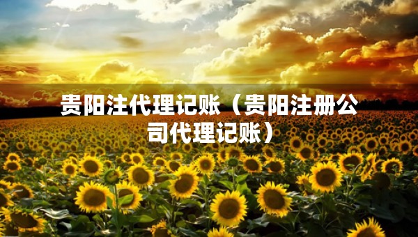 貴陽(yáng)注代理記賬（貴陽(yáng)注冊(cè)公司代理記賬）