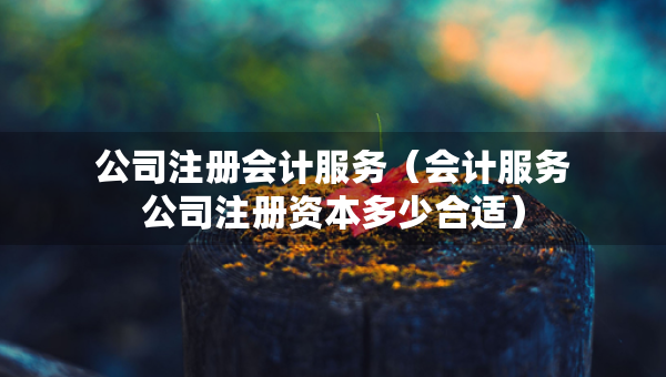 公司注冊(cè)會(huì)計(jì)服務(wù)（會(huì)計(jì)服務(wù)公司注冊(cè)資本多少合適）