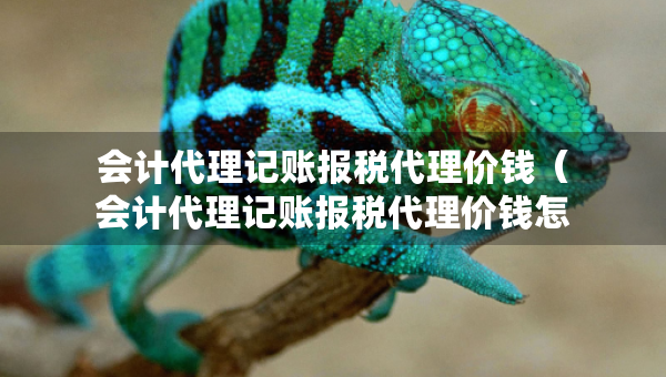 會計代理記賬報稅代理價錢（會計代理記賬報稅代理價錢怎么填）