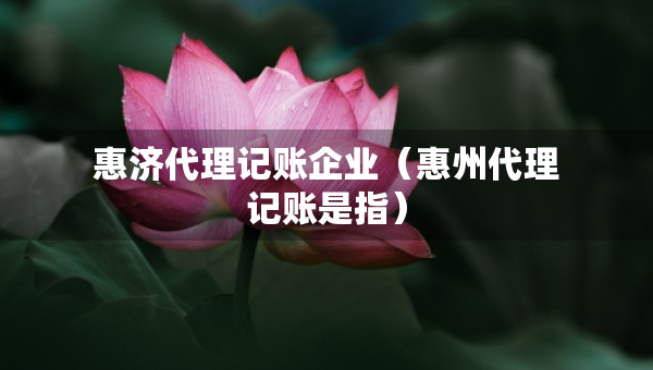 惠濟代理記賬企業(yè)（惠州代理記賬是指）