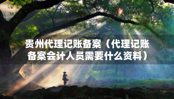 貴州代理記賬備案（代理記賬備案會計人員需要什么資料）