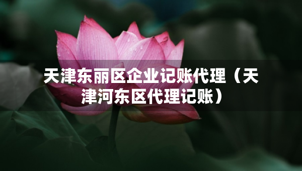 天津東麗區(qū)企業(yè)記賬代理（天津河?xùn)|區(qū)代理記賬）