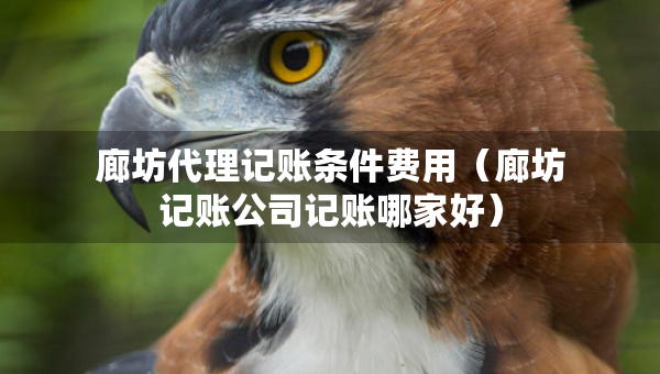 廊坊代理記賬條件費(fèi)用（廊坊記賬公司記賬哪家好）