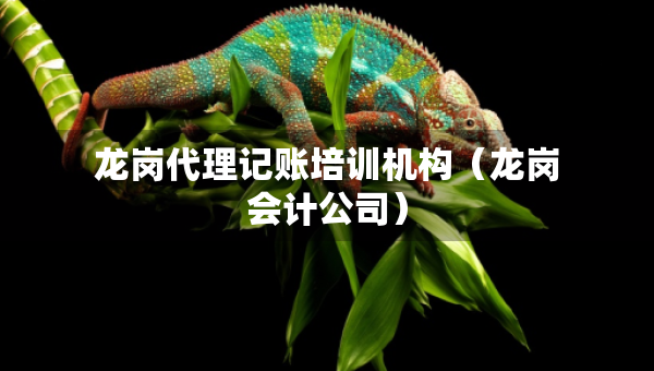 龍崗代理記賬培訓(xùn)機(jī)構(gòu)（龍崗會(huì)計(jì)公司）
