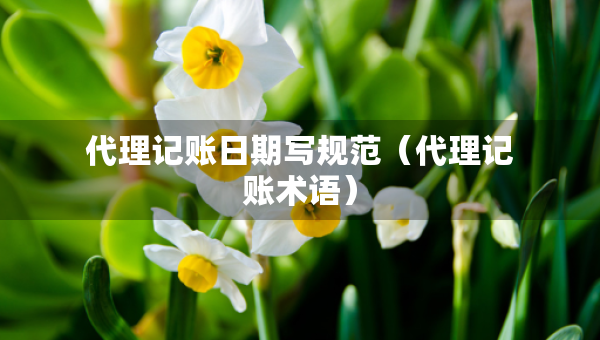 代理記賬日期寫(xiě)規(guī)范（代理記賬術(shù)語(yǔ)）