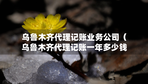 烏魯木齊代理記賬業(yè)務(wù)公司（烏魯木齊代理記賬一年多少錢）