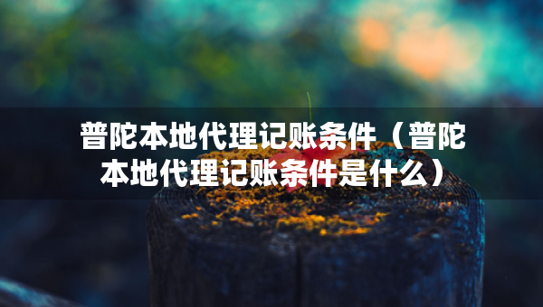 普陀本地代理記賬條件（普陀本地代理記賬條件是什么）