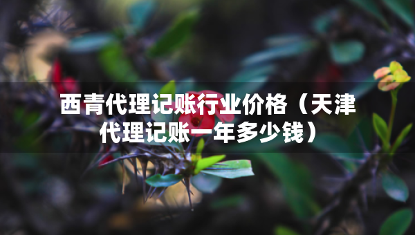 西青代理記賬行業(yè)價(jià)格（天津代理記賬一年多少錢）
