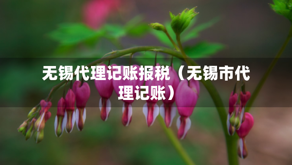無錫代理記賬報稅（無錫市代理記賬）