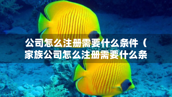 公司怎么注冊需要什么條件（家族公司怎么注冊需要什么條件）