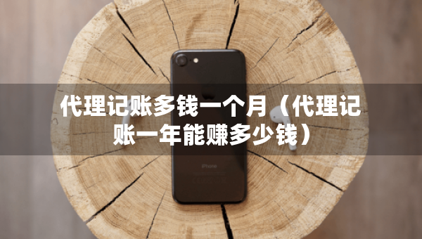 代理記賬多錢一個(gè)月（代理記賬一年能賺多少錢）
