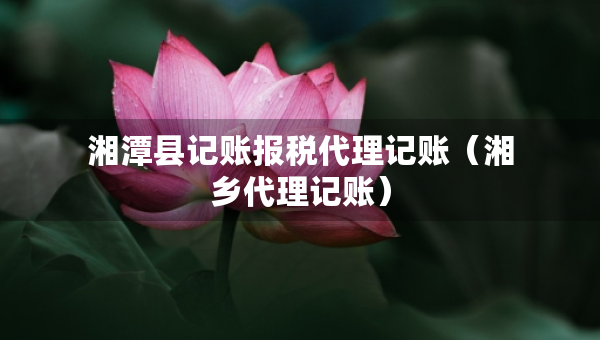 湘潭縣記賬報(bào)稅代理記賬（湘鄉(xiāng)代理記賬）