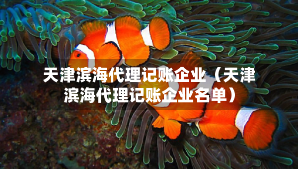 天津濱海代理記賬企業(yè)（天津濱海代理記賬企業(yè)名單）