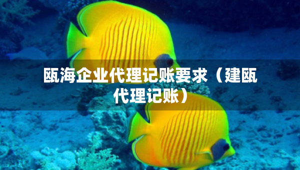 甌海企業(yè)代理記賬要求（建甌代理記賬）