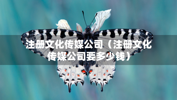 注冊(cè)文化傳媒公司（注冊(cè)文化傳媒公司要多少錢）
