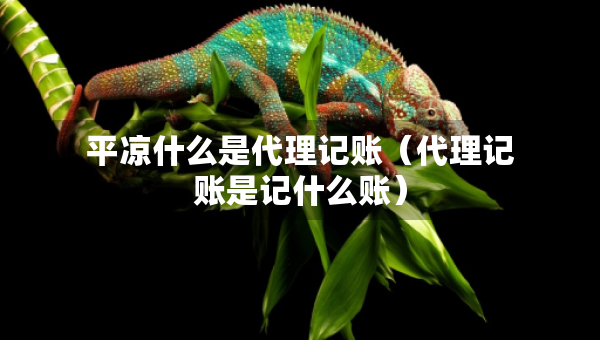 平?jīng)鍪裁词谴碛涃~（代理記賬是記什么賬）