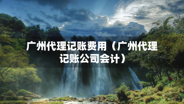 廣州代理記賬費用（廣州代理記賬公司會計）