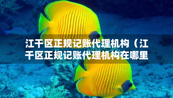 江干區(qū)正規(guī)記賬代理機構(gòu)（江干區(qū)正規(guī)記賬代理機構(gòu)在哪里）