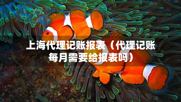 上海代理記賬報(bào)表（代理記賬每月需要給報(bào)表嗎）