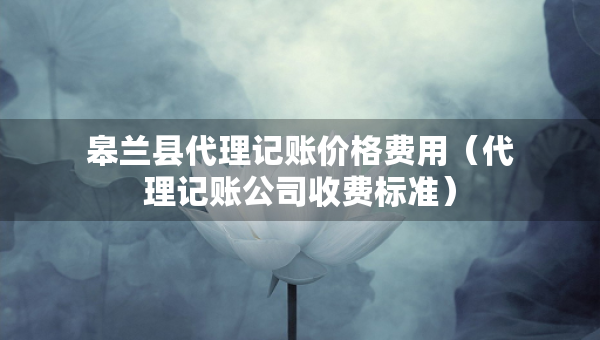 皋蘭縣代理記賬價格費用（代理記賬公司收費標準）