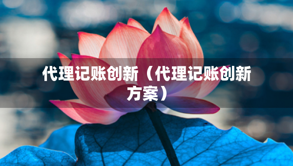 代理記賬創(chuàng)新（代理記賬創(chuàng)新方案）