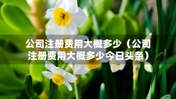 公司注冊(cè)費(fèi)用大概多少（公司注冊(cè)費(fèi)用大概多少今日頭條）