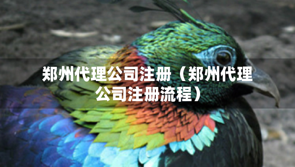 鄭州代理公司注冊(cè)（鄭州代理公司注冊(cè)流程）