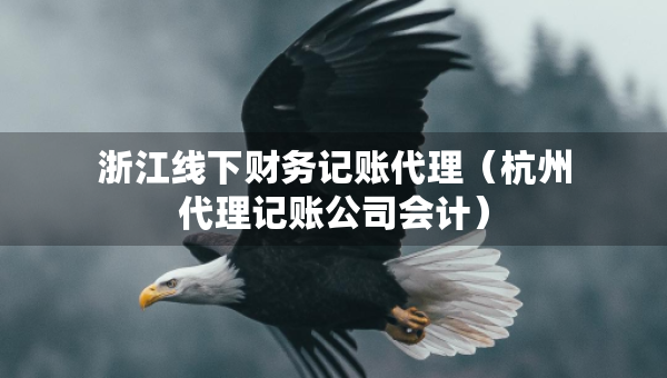 浙江線下財(cái)務(wù)記賬代理（杭州代理記賬公司會(huì)計(jì)）