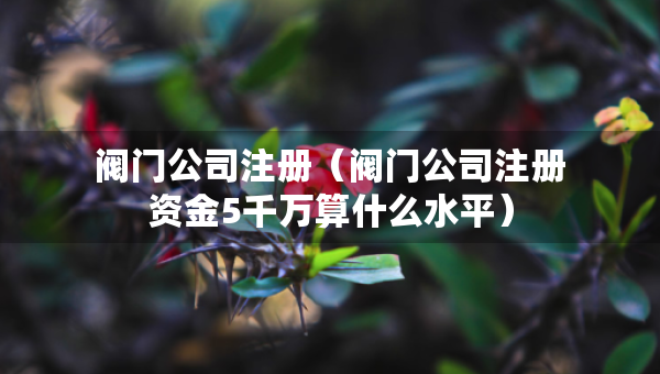 閥門公司注冊（閥門公司注冊資金5千萬算什么水平）