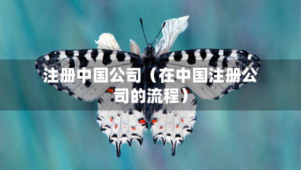 注冊中國公司（在中國注冊公司的流程）