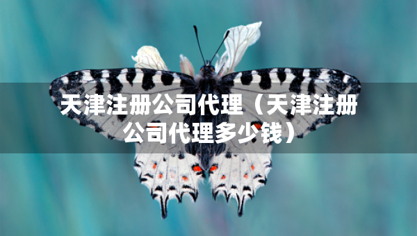天津注冊(cè)公司代理（天津注冊(cè)公司代理多少錢(qián)）