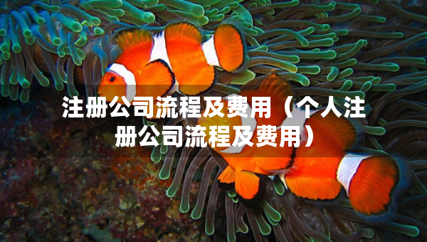 注冊(cè)公司流程及費(fèi)用（個(gè)人注冊(cè)公司流程及費(fèi)用）