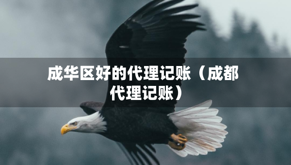 成華區(qū)好的代理記賬（成都 代理記賬）