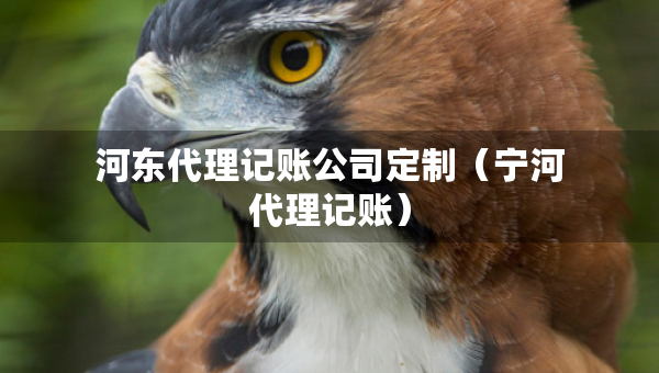 河?xùn)|代理記賬公司定制（寧河代理記賬）