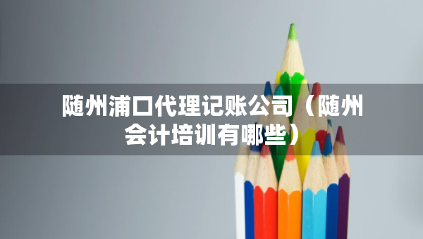隨州浦口代理記賬公司（隨州會(huì)計(jì)培訓(xùn)有哪些）